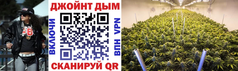 площадка официальный сайт  Оса  Бошки марихуана индика 